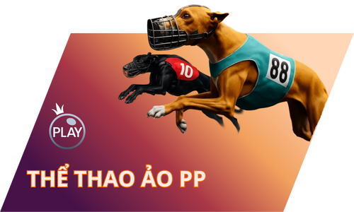 The Thao Ao Pp